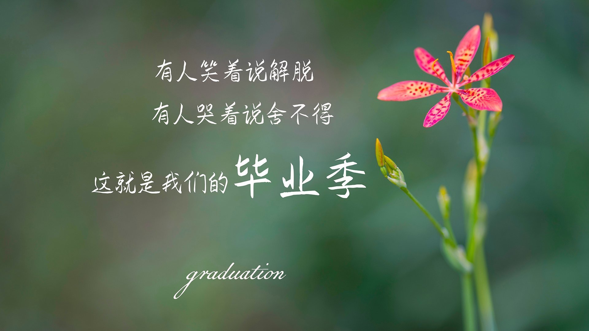 慈善赛奇迹，智利明星队3-0完胜尤文传奇，基米希一传两射扛起全队