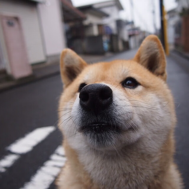 当拉文跨界评分拉满，步行者爆冷胜雄鹿背后的隐形风暴