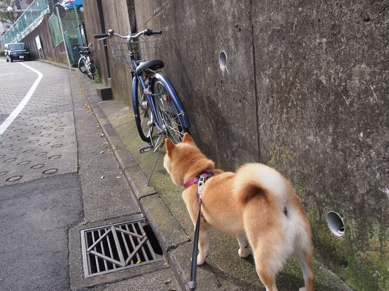 东决关键战之夜，月光如练处，他倒悬了天平