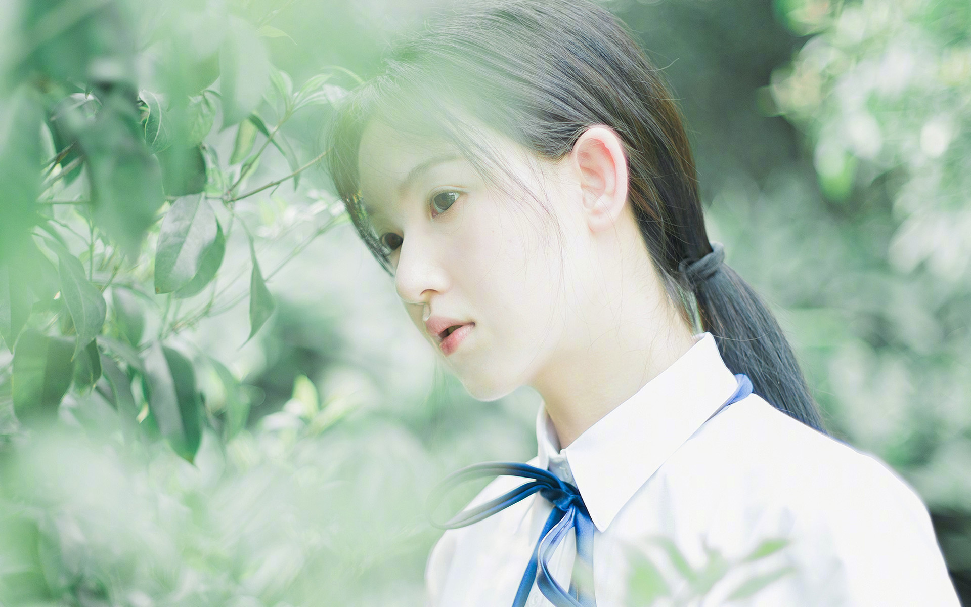 静默的统帅，范戴克于奥运周期关键之夜，以完美防守筑起冠军基石