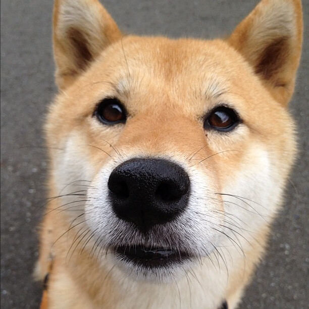 最后一支探戈，莫德里奇在美加墨之夜逆转时间