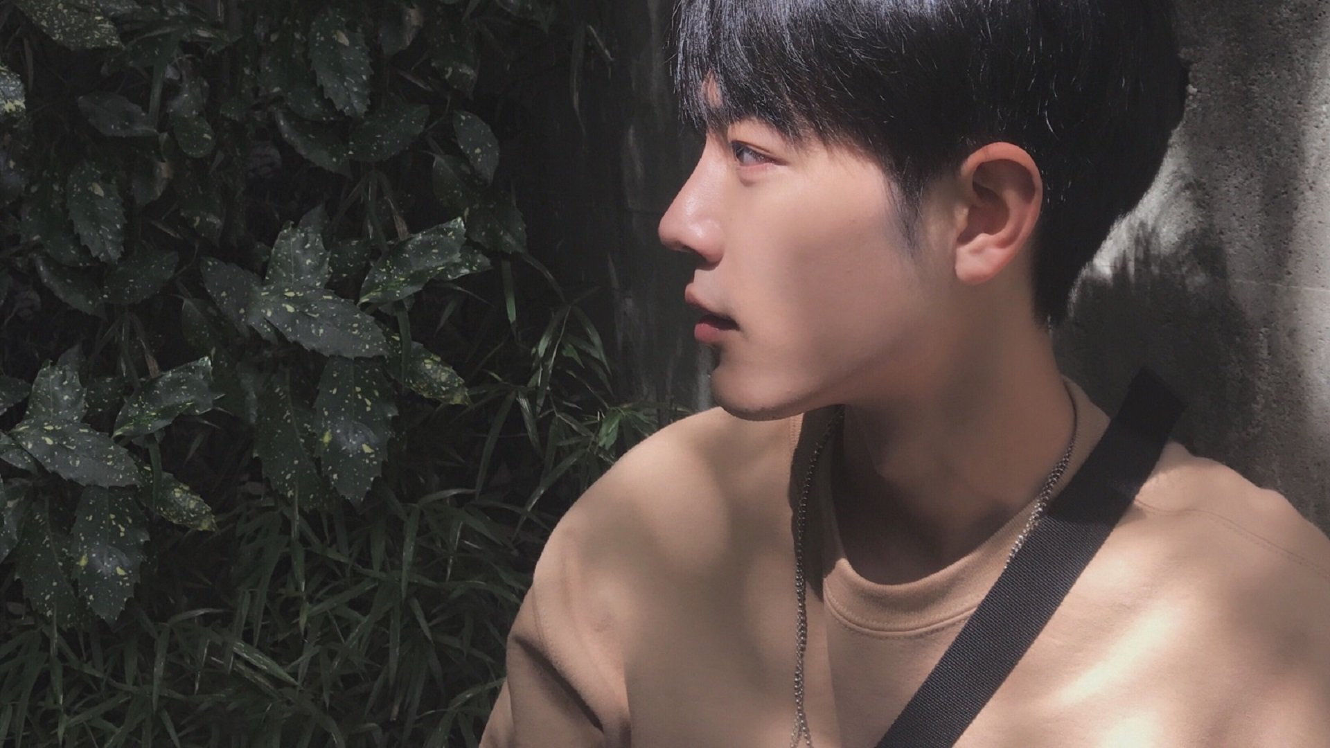 维米尔的蓝，斯通斯读信时，荷兰淘汰了挪威