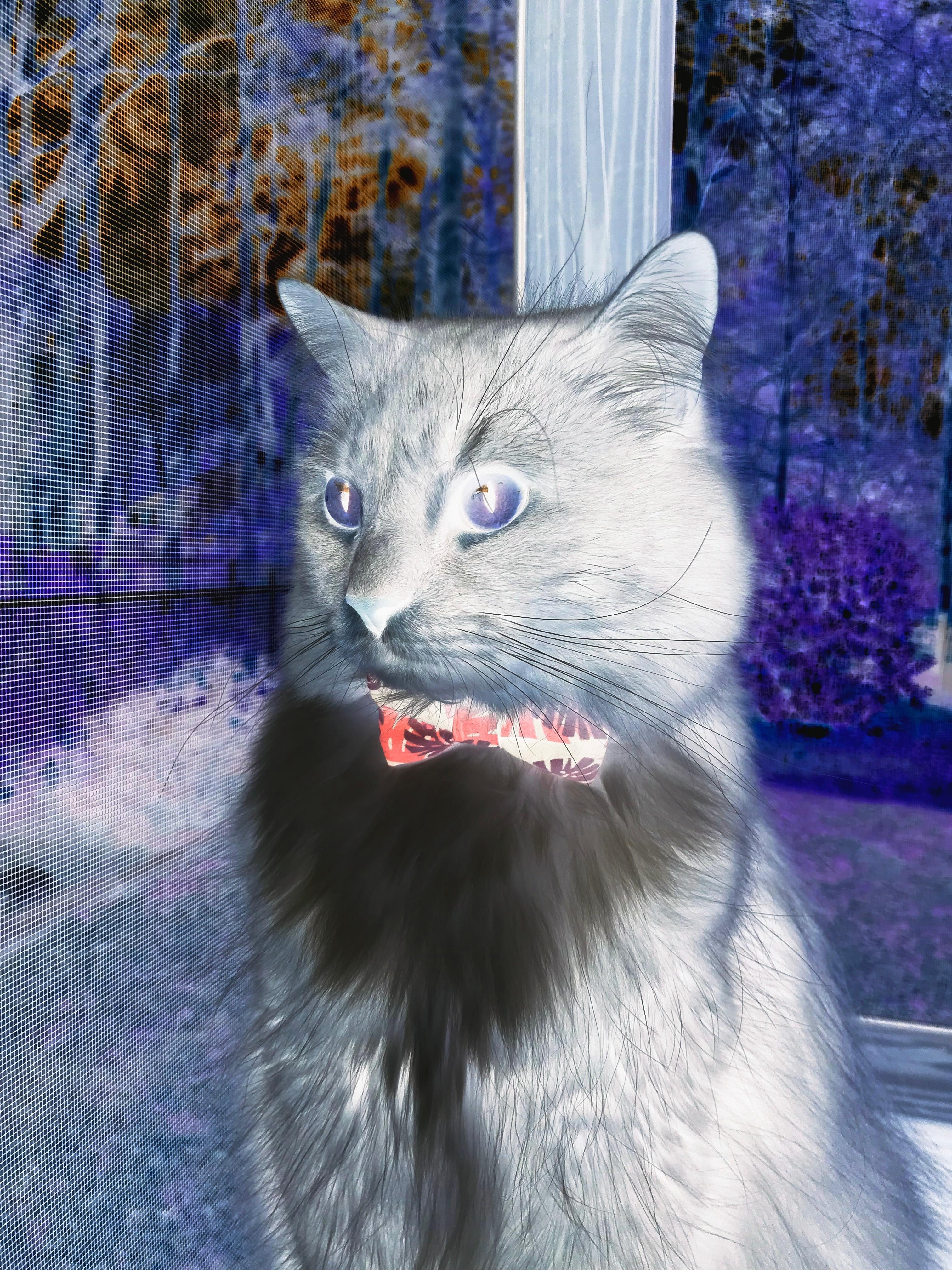 古典篮球的黄昏，当公牛与凯尔特人仍在鏖战时，伦纳德已用效率逻辑赢下比赛