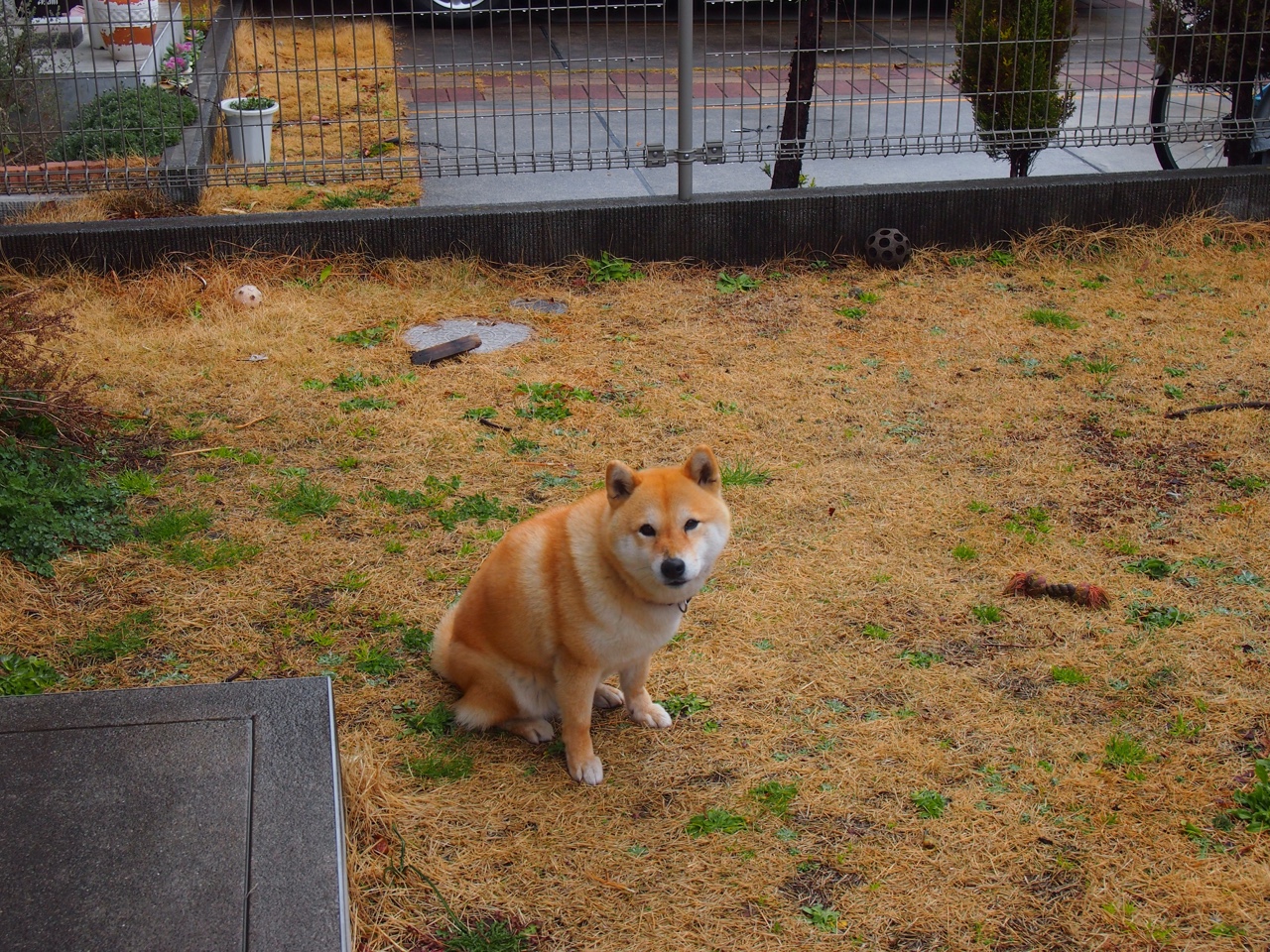 2025世俱杯决赛,楚阿梅尼惊天远射,皇马在亚特兰大加冕新王