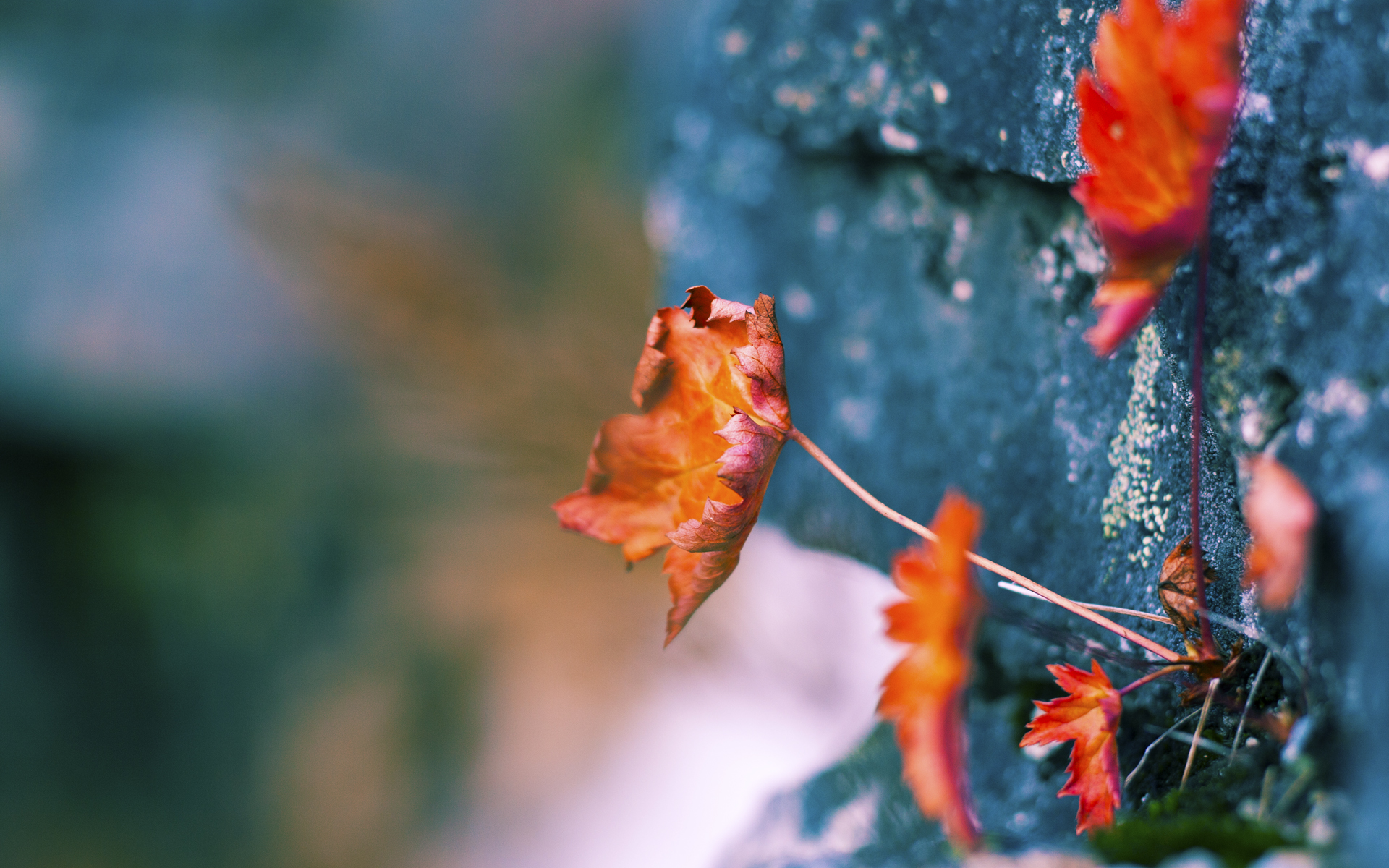 夜归人，哈利伯顿在季后赛的救赎三分