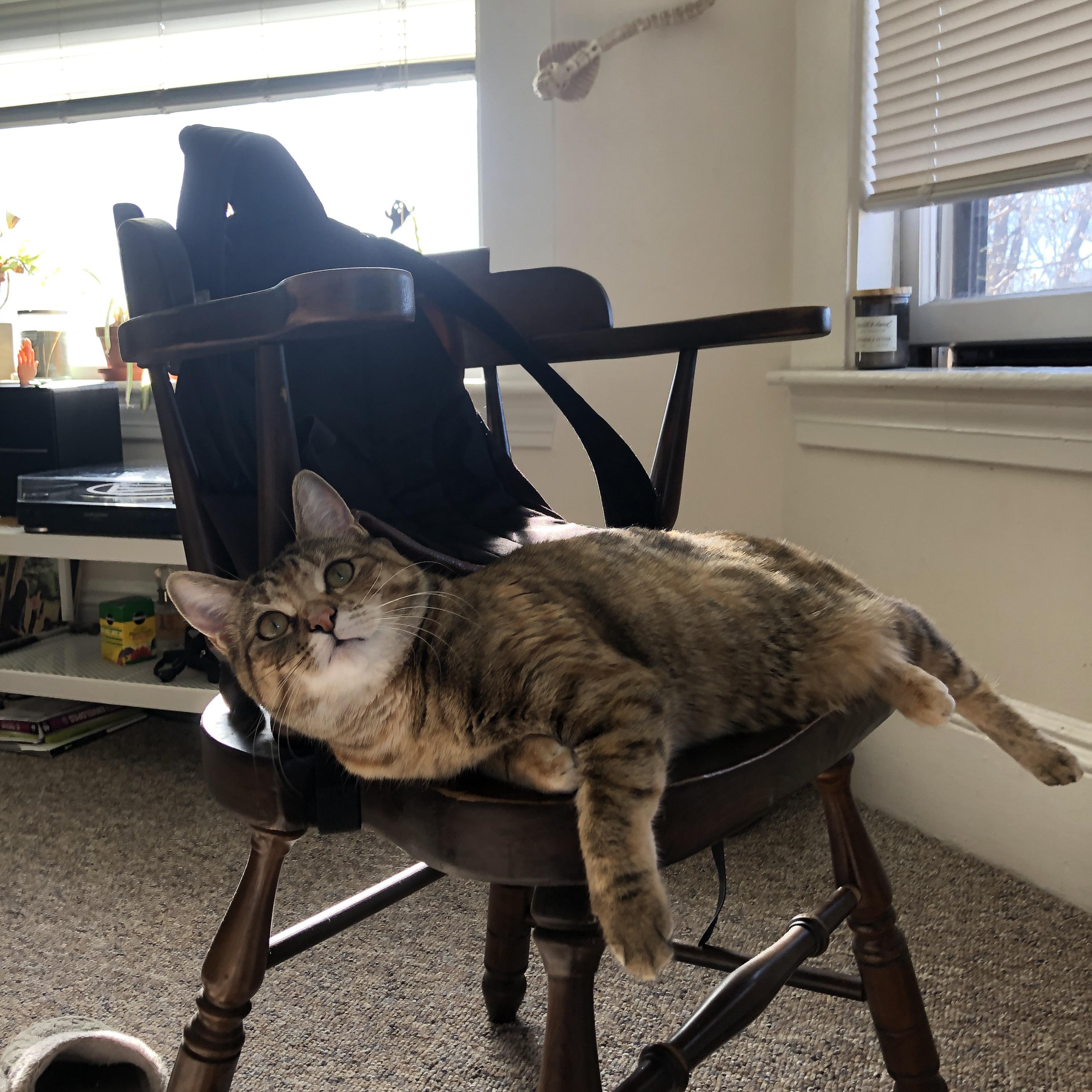 赛道上的国家较量，中国车队在加拿大GP以战略完胜，努涅斯用绝杀接管年度争冠