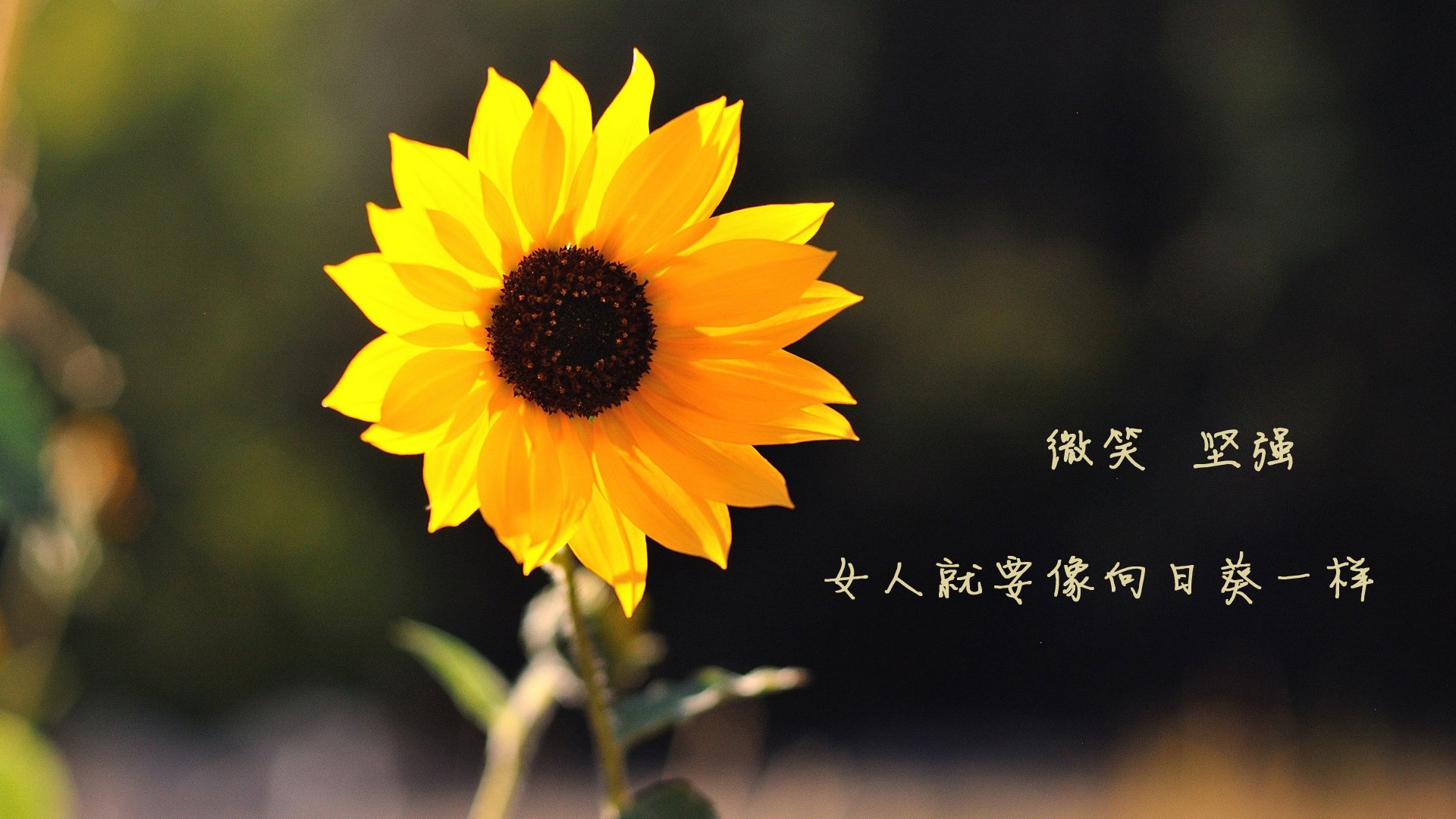 爱游戏tv-（三个方向供参考）