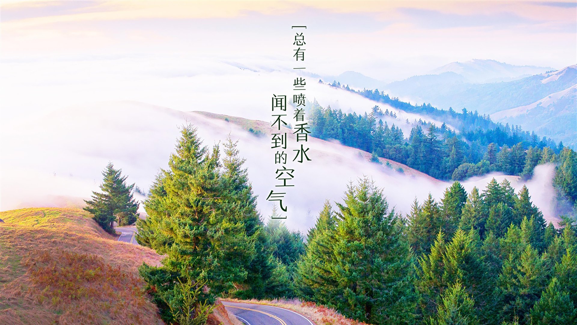 蓝黄风暴下的铁幕裂痕,吉鲁的致命一传,如何让哥伦比亚在2026四分之一决赛撕碎斯洛伐克的不锈钢防线