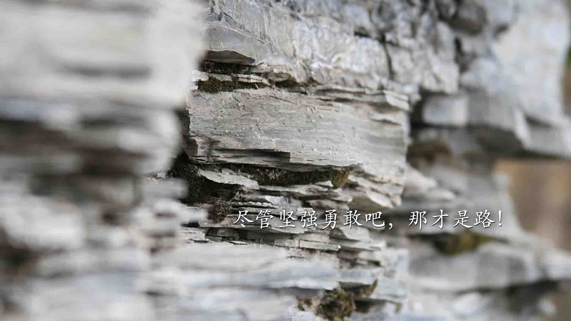 绝杀之夜,2026世界杯B组,喀麦隆力克波兰,罗德里戈完成致命一击