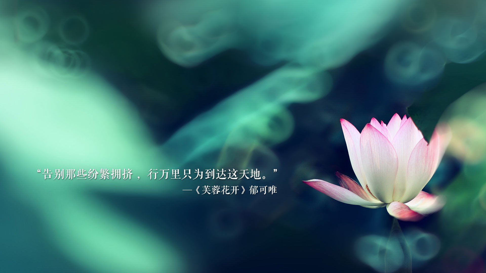 孤岛之怒,2026世界杯F组冰岛史诗级大胜比利时,C罗致命一击书写战术传奇