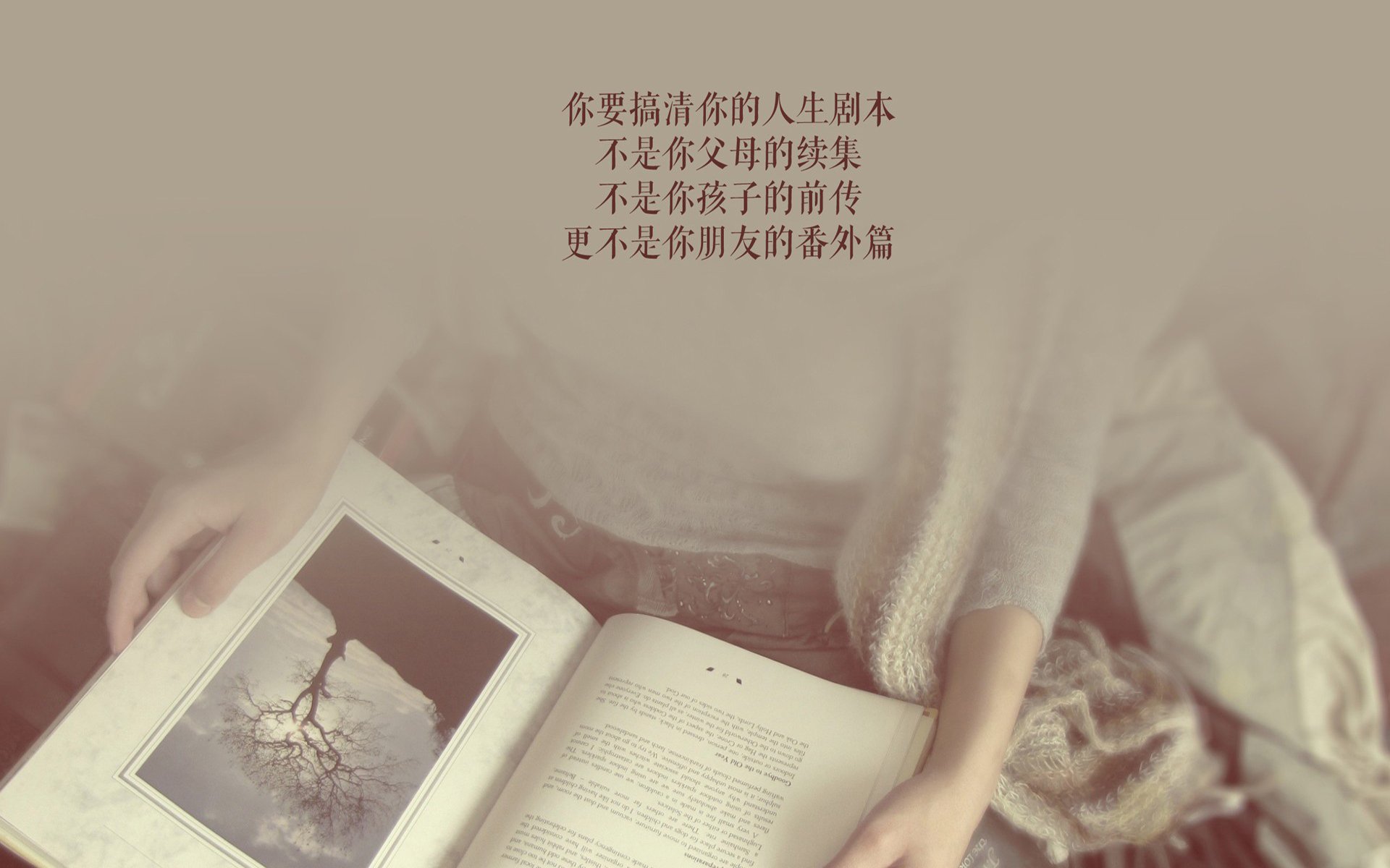 多哈的最后一抹月光,德布劳内与斯洛伐克的绝杀,书写2026世界杯H组最残酷的诗意